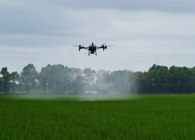 drones increasingly chosen for crop spraying