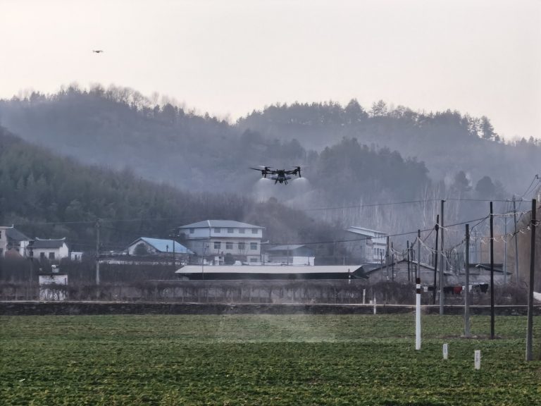 Drone performing precision spraying on crops