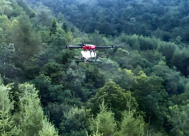drone for forest monitoring