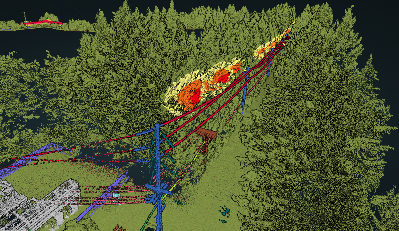 Vegetation Encroachment
