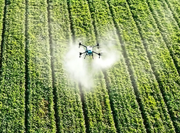 agriculture drone crop spraying
