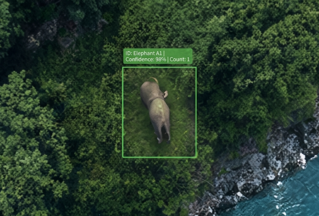 wildlife monitoring drone feature