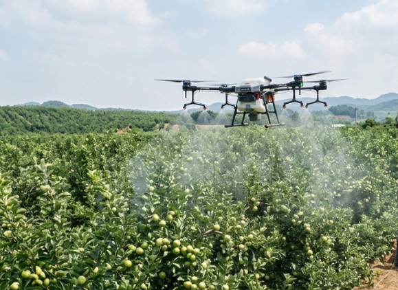 orchard spraying