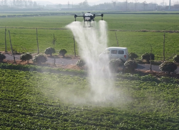 spray drone cost