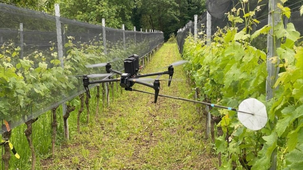 Autonomous inspection drone navigating between vineyard rows and trellis structures